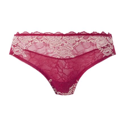 close up of Wacoal Lace Perfection Brief in Cerise - Victoria's Little ...