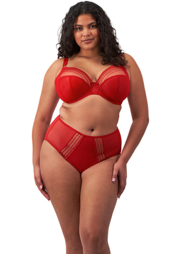 Elomi Matilda Plunge Bra Haute Red with brief