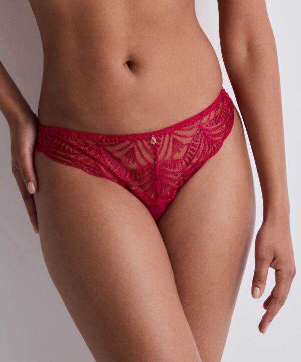 buy the Aubade Vibes Italian Brief Love Potion