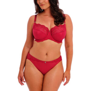 Fantasie Reflect Brief Red with bra