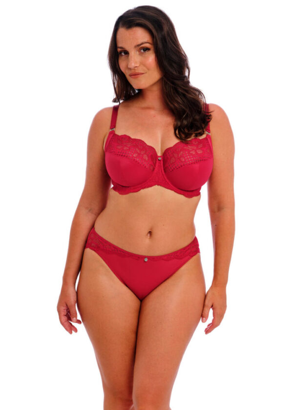 Fantasie Reflect Brief Red with bra