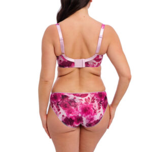 Fantasie Pippa Brief Raspberry Ripple back