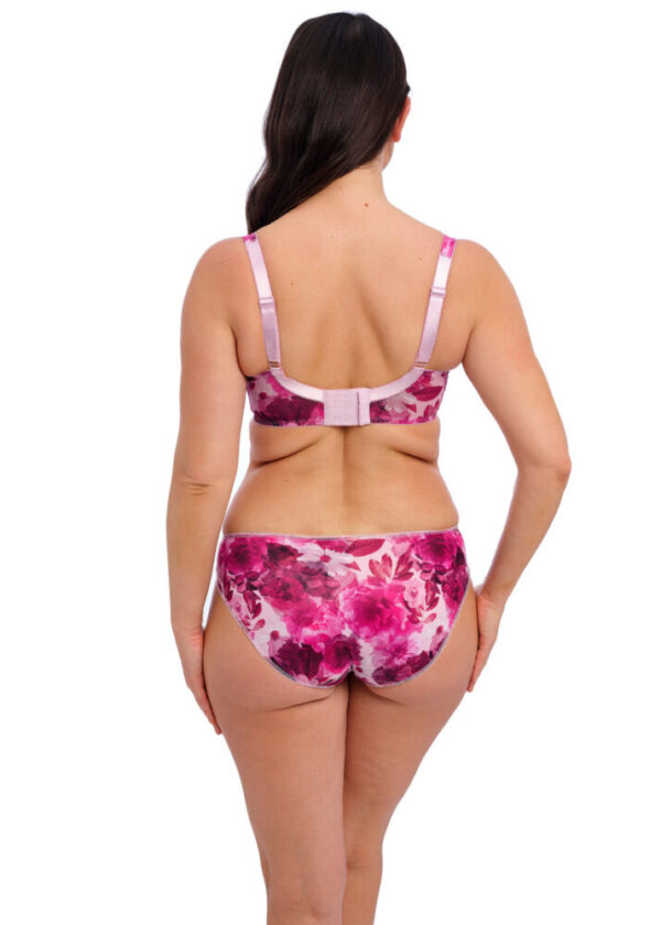 Fantasie Pippa Brief Raspberry Ripple back