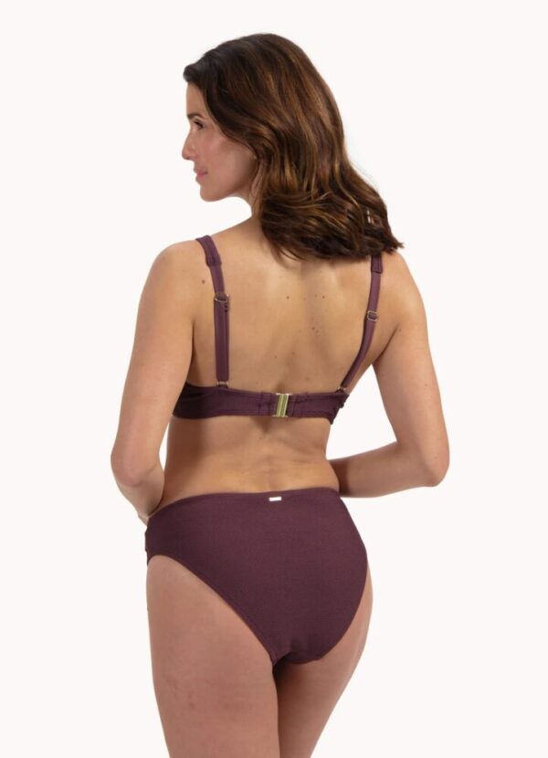 Cyell Wavy Brown Bikini Set back