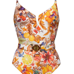 Cutout of the maryan melhorn exuberance swimsuit